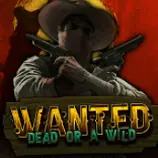 Wanted Dead or a Wild